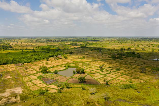 Farming Land