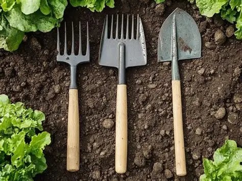 Tools & Equipment